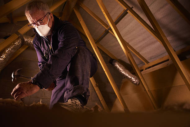 Best Insulation Replacement Services  in Munsons Corners, NY